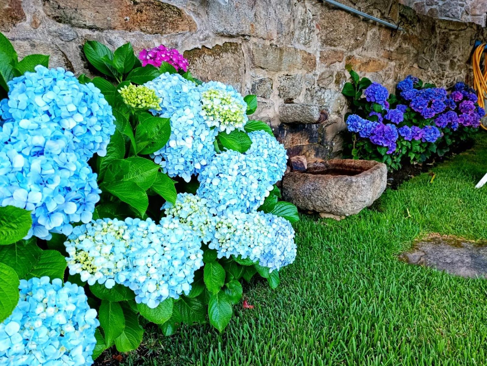 Remanso Azul Villa Moaña Eksteriør bilde
